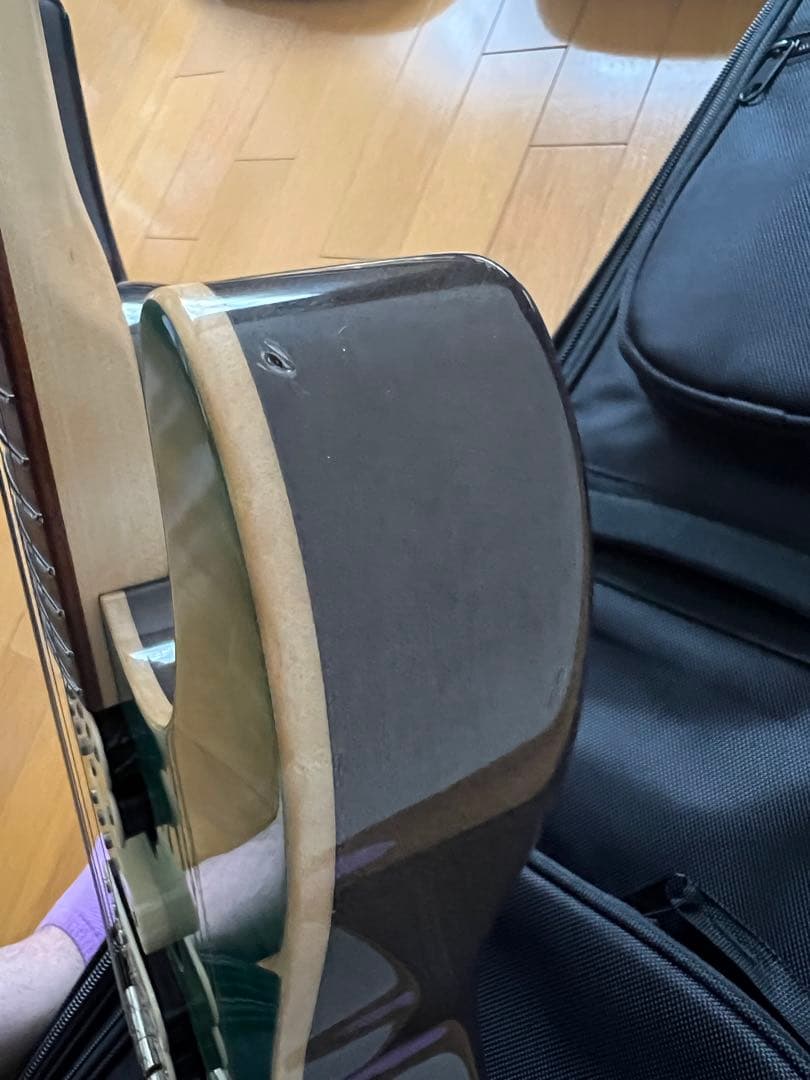 freedomcustomguitarresearchハイドラ