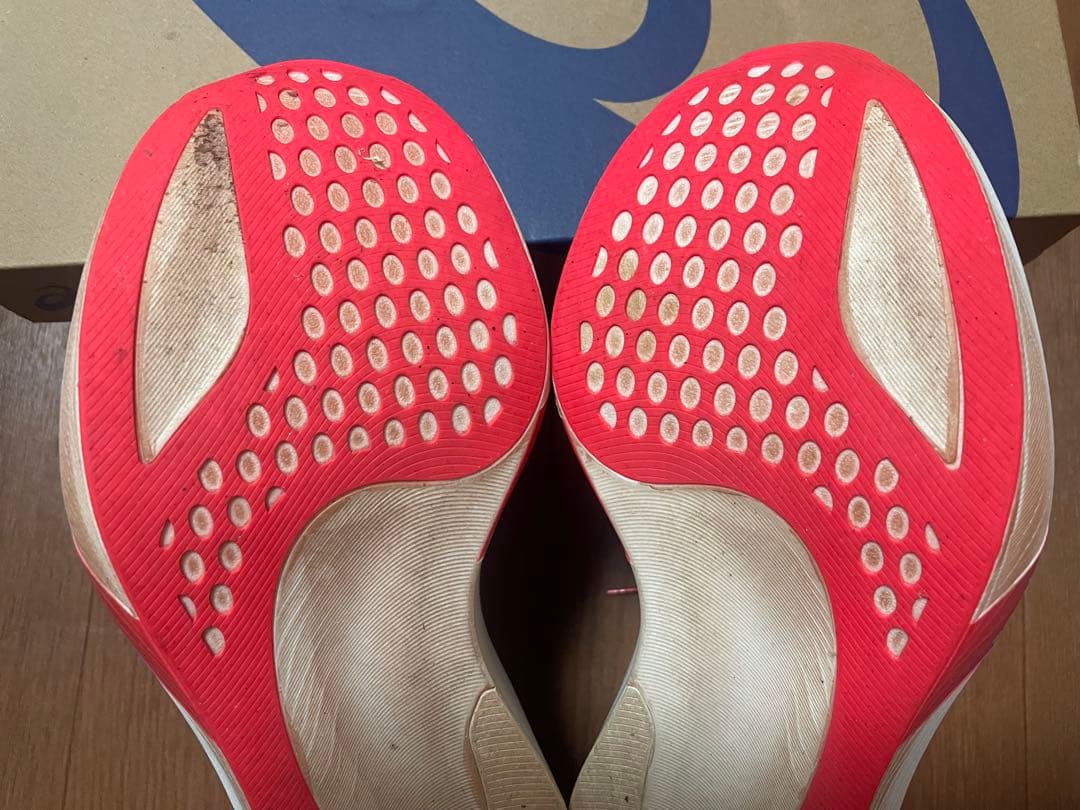 スパイク・シューズ  SPEED SKY TOKYO 25.5cm