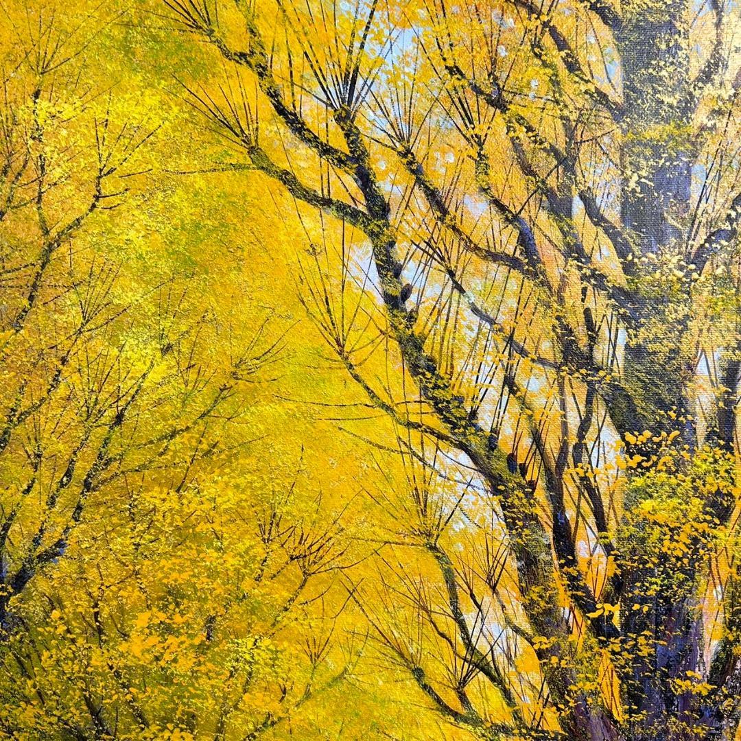 美品 寺井孝「いちょう並木」油彩画 油絵 F10 豪華額装 現美展二科展