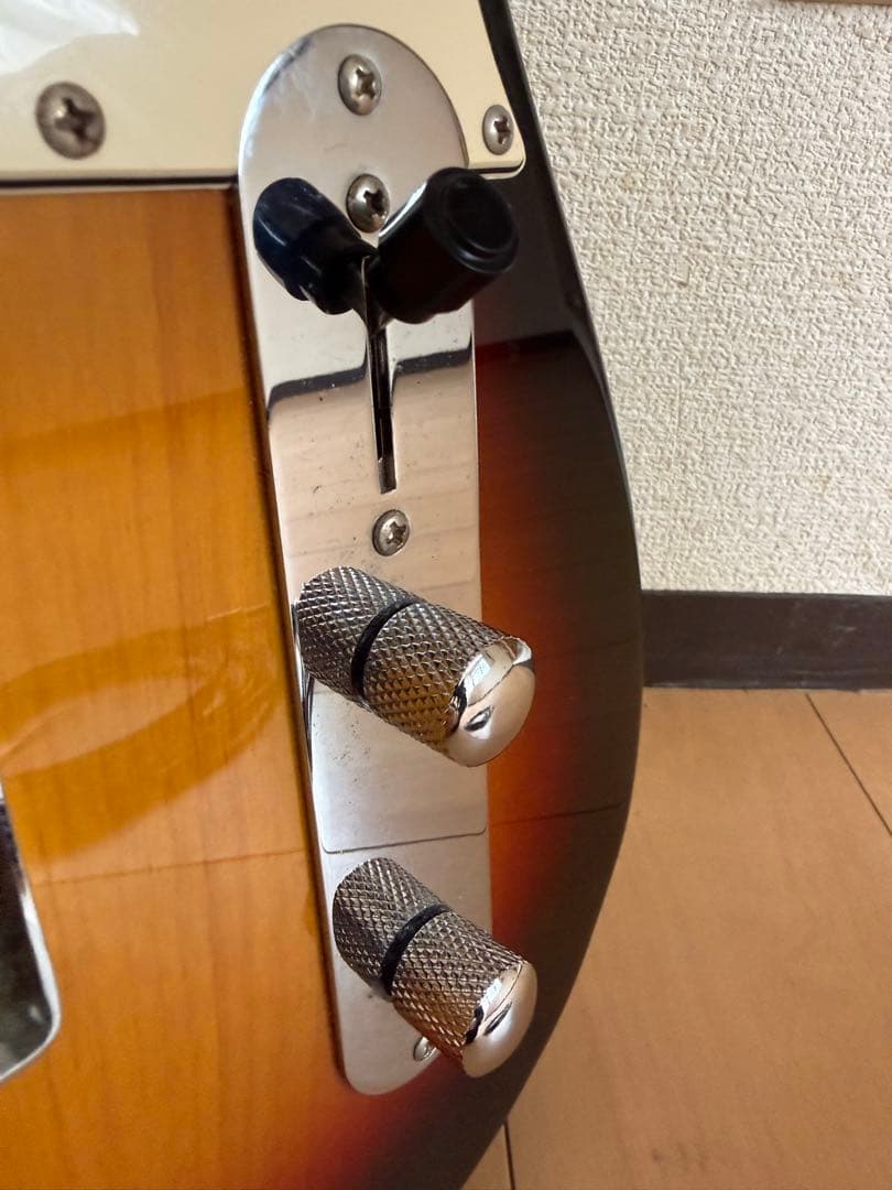 【最終値下げ】バッカス テレキャスターモデル ユニバースシリーズ