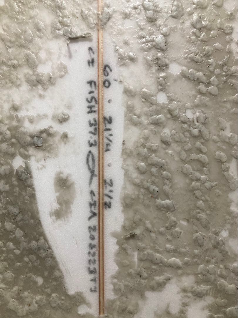 CHANNEL S ciフィッシュ