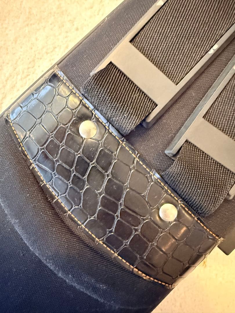 扱いやすい二胡 初級者から中級者向け　紅木　優しい音色