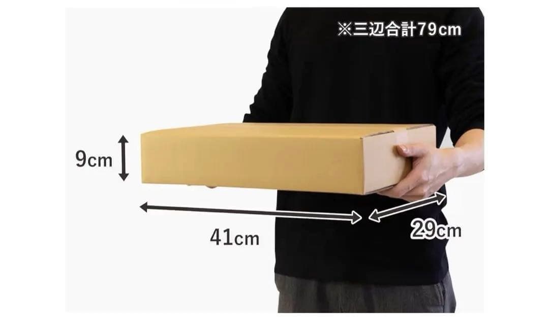 BLANKEY JET CITY Tシャツ Mサイズ　ブランキー　丁寧梱包