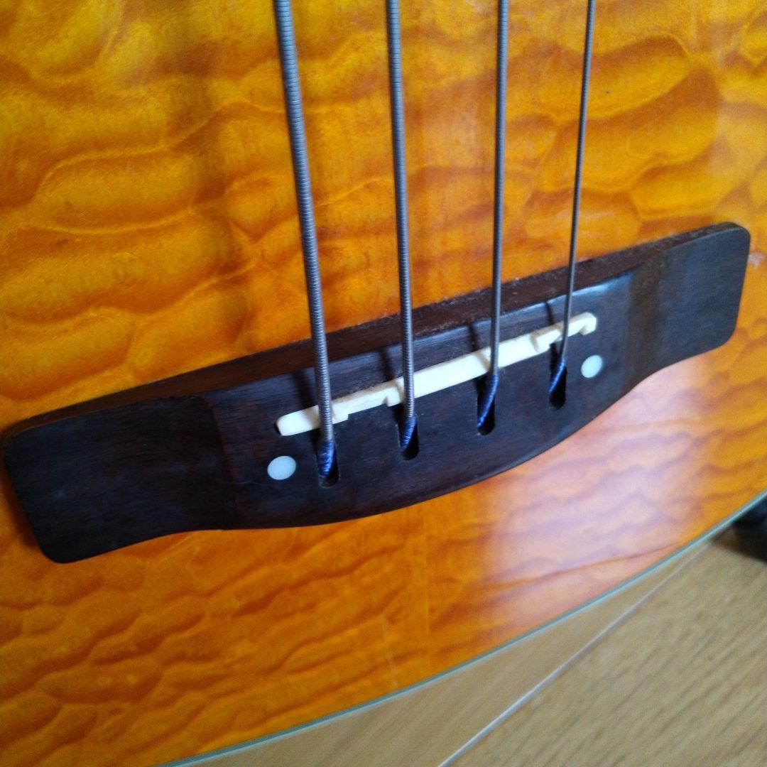 エレアコ・フレットレスベース 　Ｇreg Bennet AB-11CE/FL