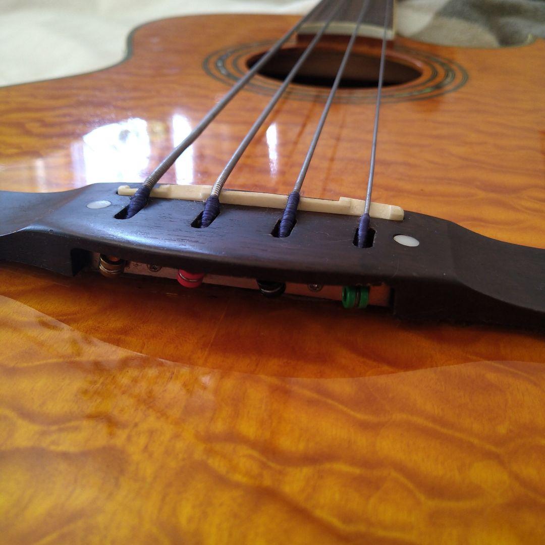 エレアコ・フレットレスベース 　Ｇreg Bennet AB-11CE/FL