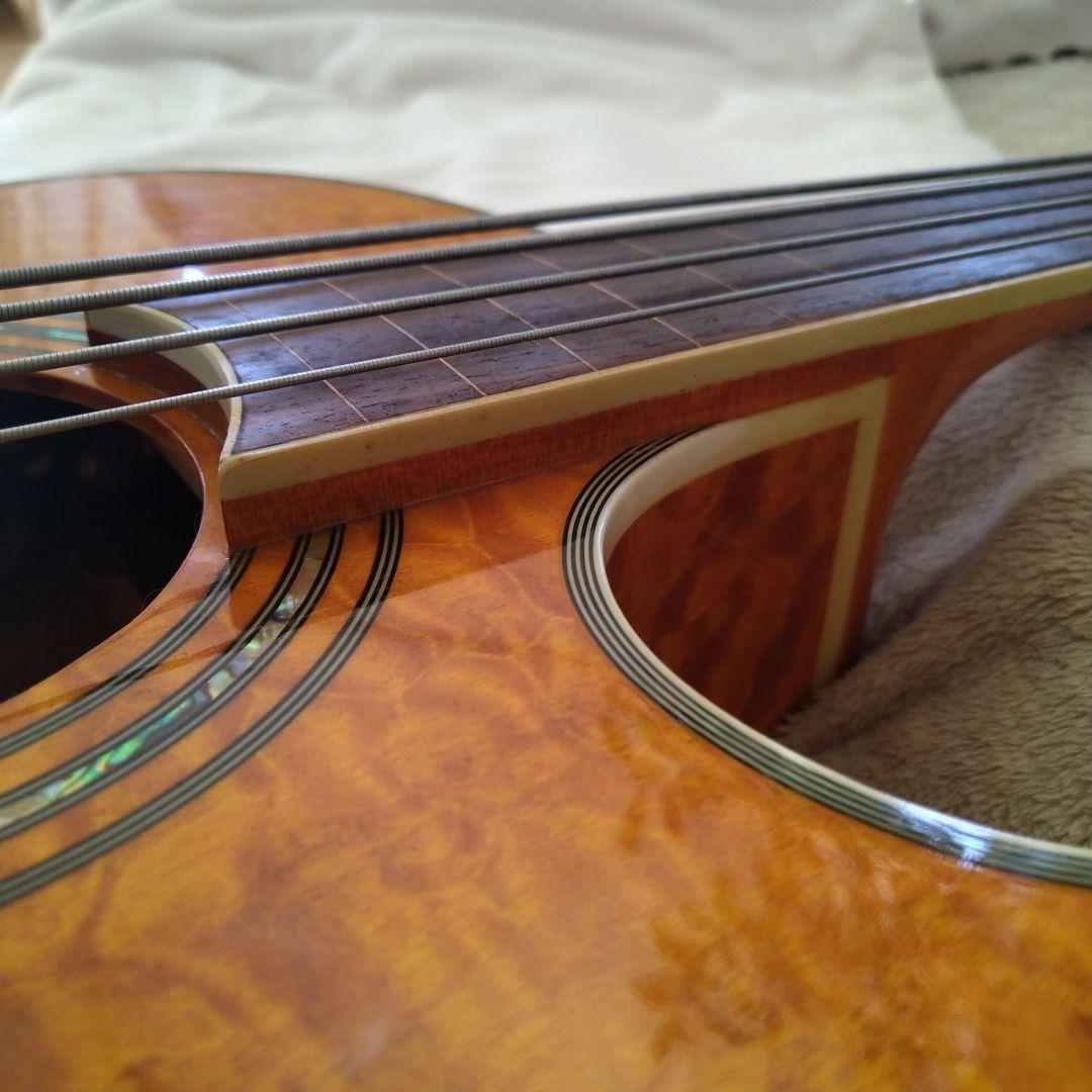 エレアコ・フレットレスベース 　Ｇreg Bennet AB-11CE/FL