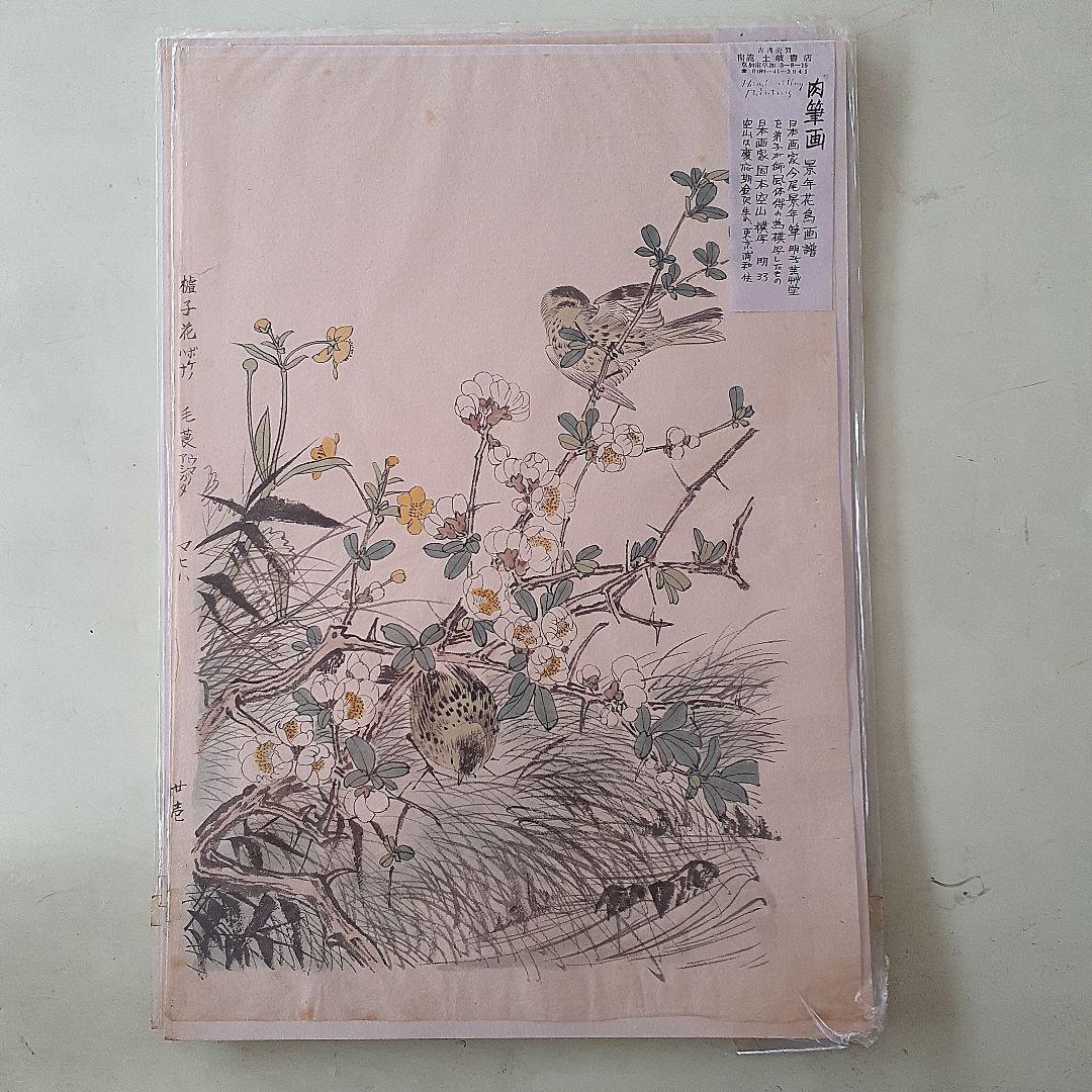 国本空山の肉筆画７枚