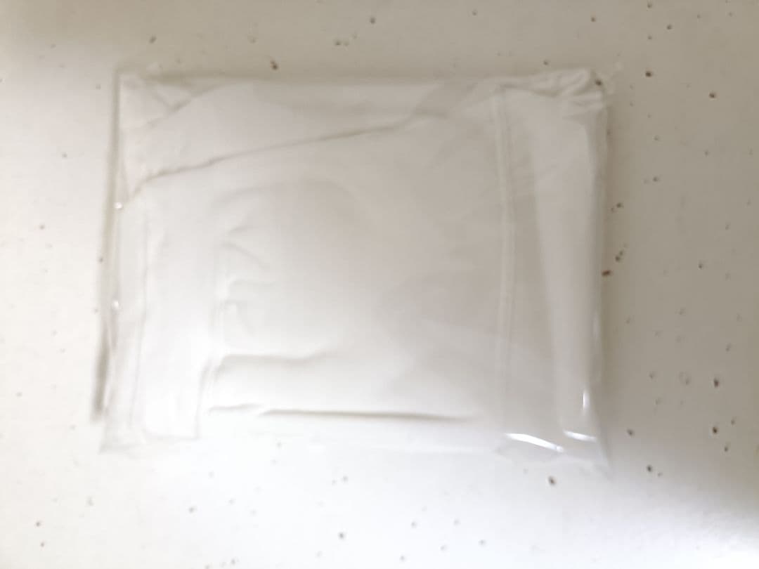 24AW Creek Angler's Device フーディー　長袖