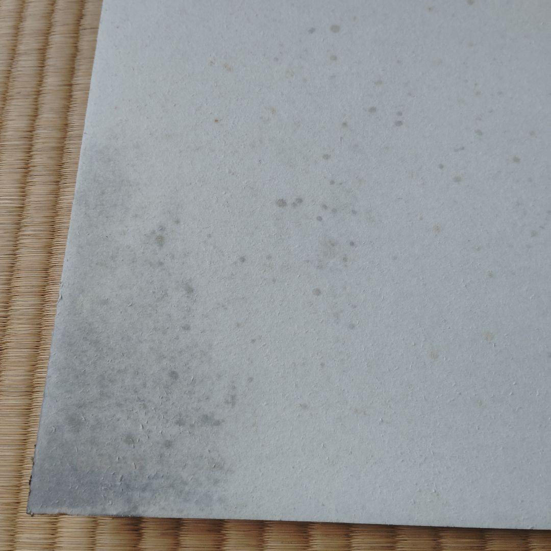 FINAL FANTASY VIII レンチキュラー B2ポスター