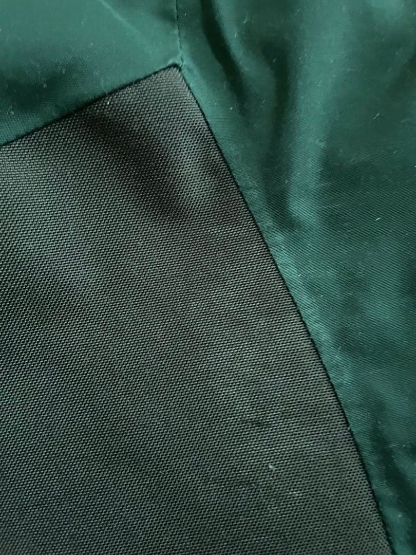 ゴールドウィン スキーパンツ メンズL