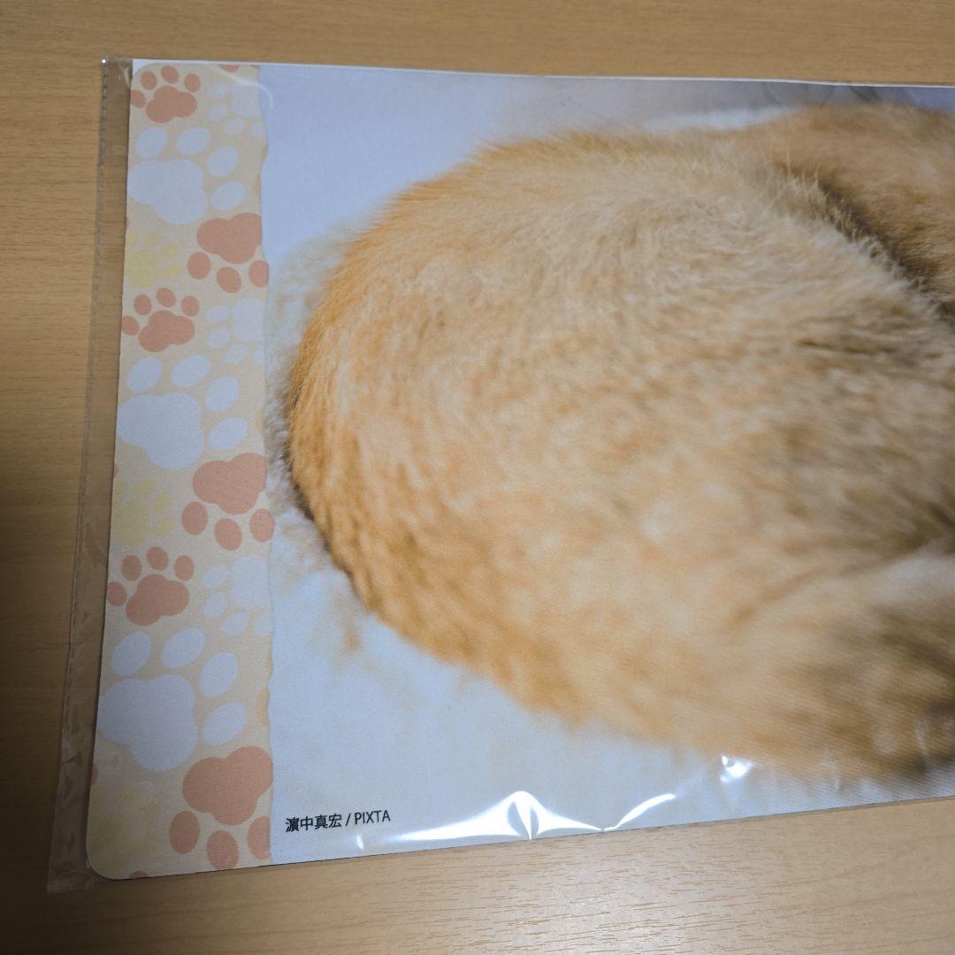 【未開封、匿名配送】トレカアイテムくじ　猫これくしょん　2点セット