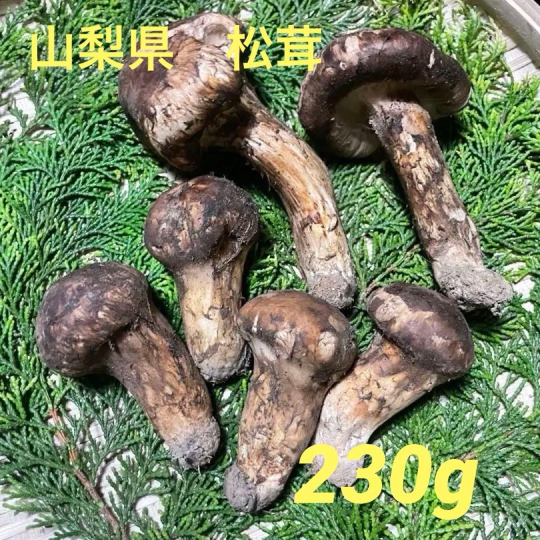 松茸　山梨県　230gセット