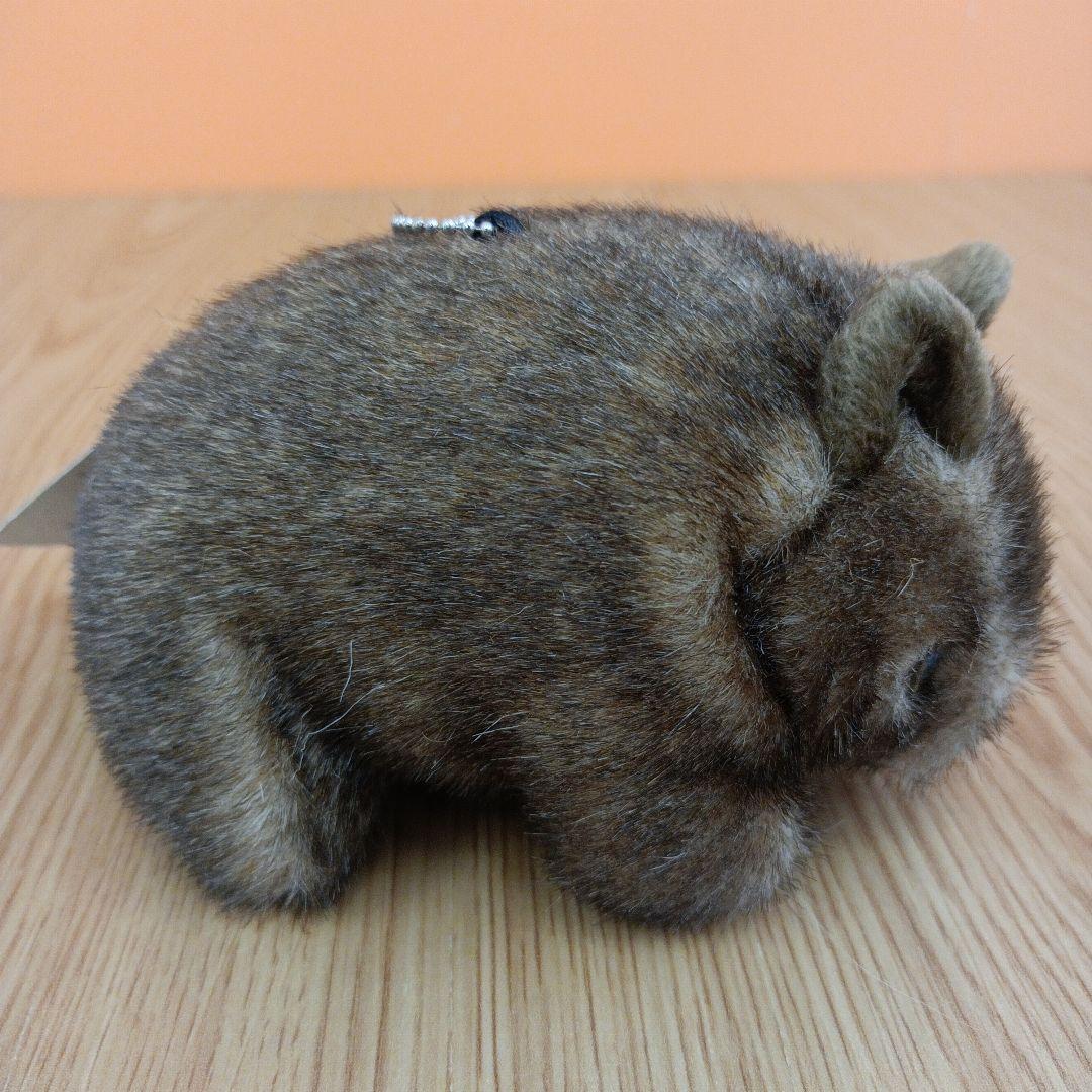 茶臼山動物園 コモンウォンバット ウォレス モモコ ぬいぐるみ マスコット 2点