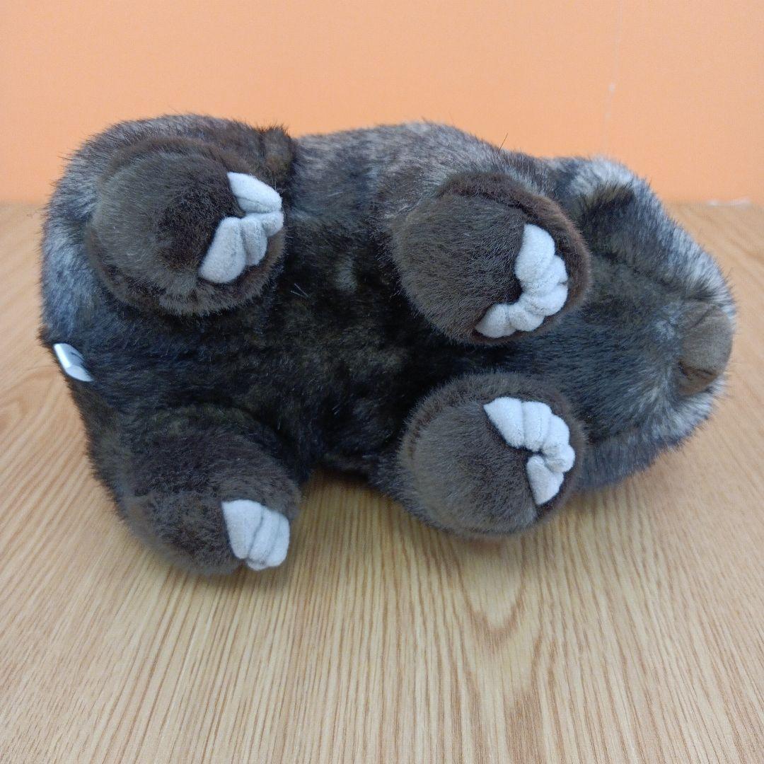 茶臼山動物園 コモンウォンバット ウォレス モモコ ぬいぐるみ マスコット 2点