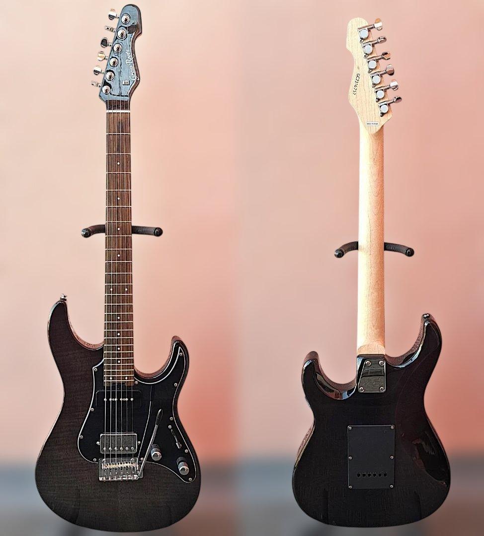 ■GrassRoots G-SNAPPER-CTM/P ESP スナッパー 美品