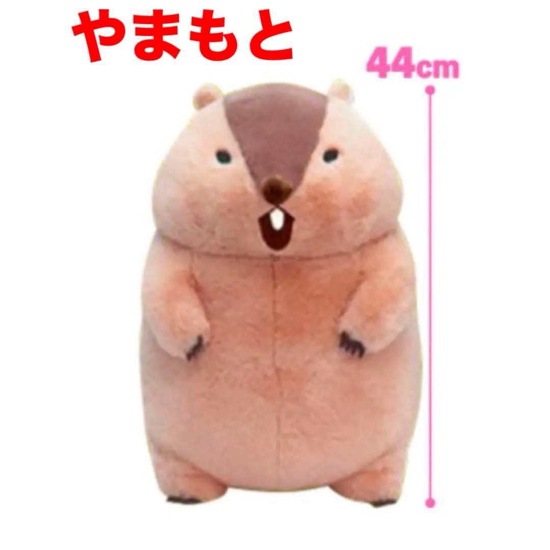 マーモットのもっとっとモア　ウルトラBIGぬいぐるみ　３種コンプリート