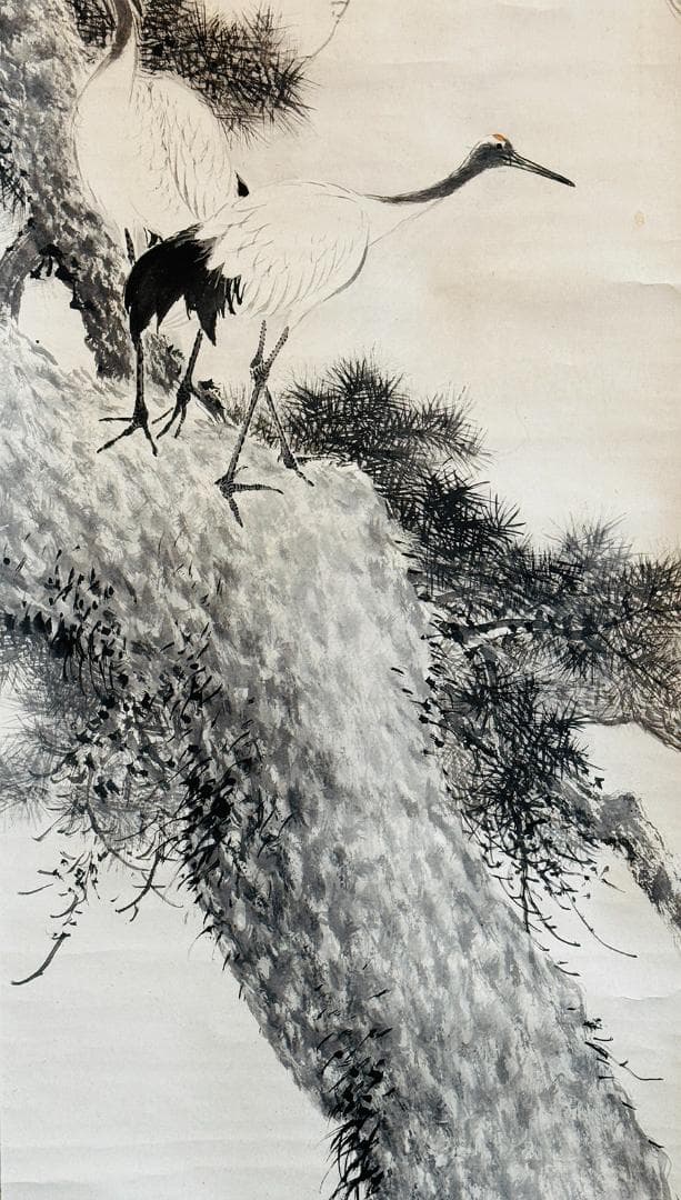 時代年代物 掛軸 水墨画 在銘 松に双鶴 日本画