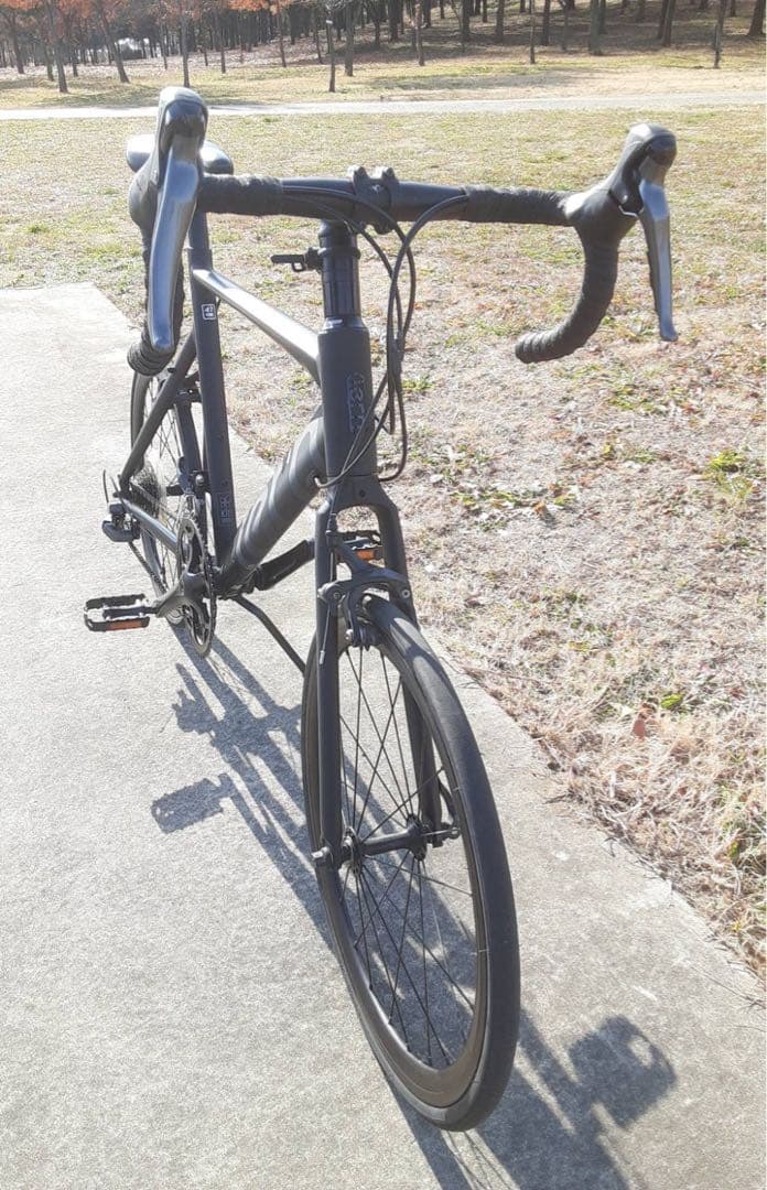 フラワー 　TERN ( ターン ) SURGE