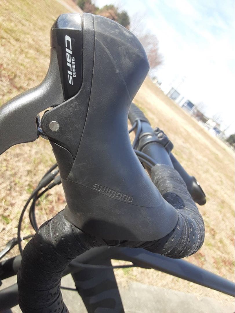 フラワー 　TERN ( ターン ) SURGE