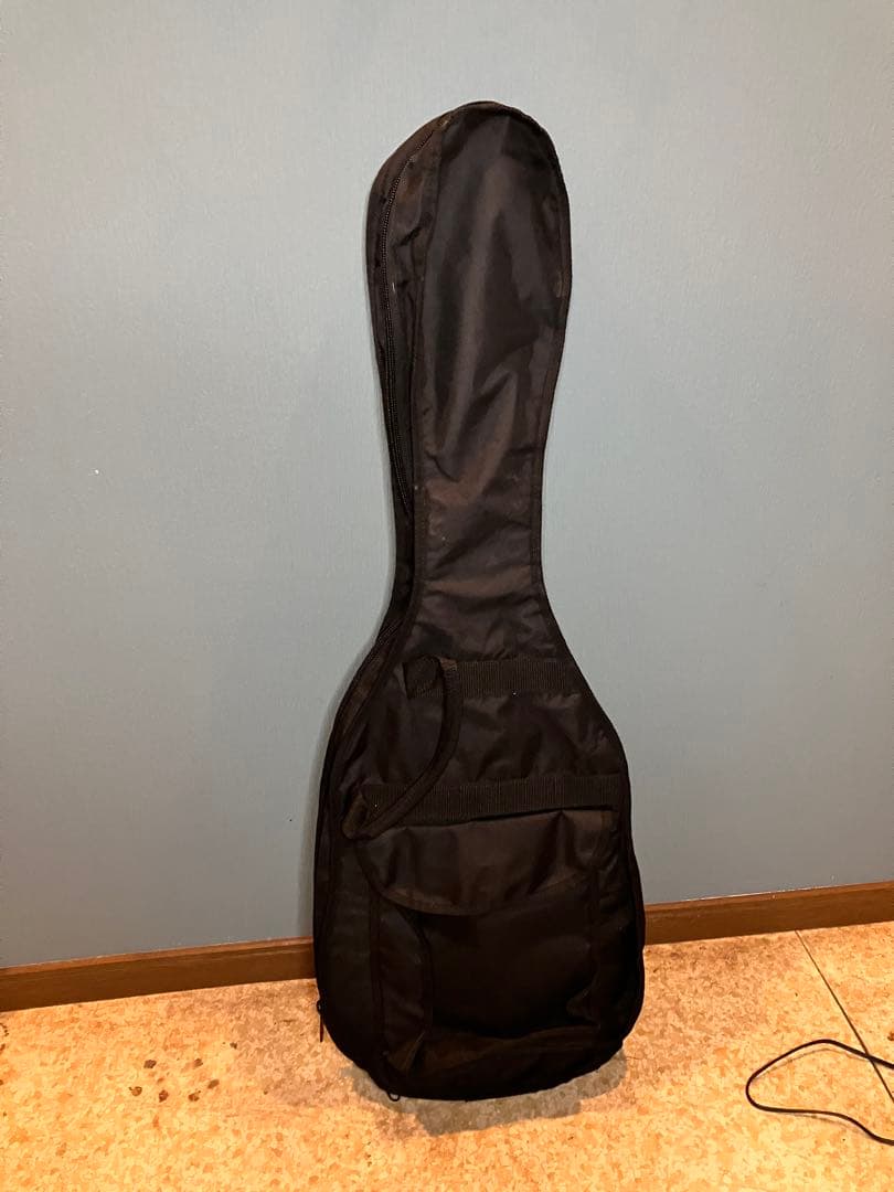 ギター Bacchus BST-2