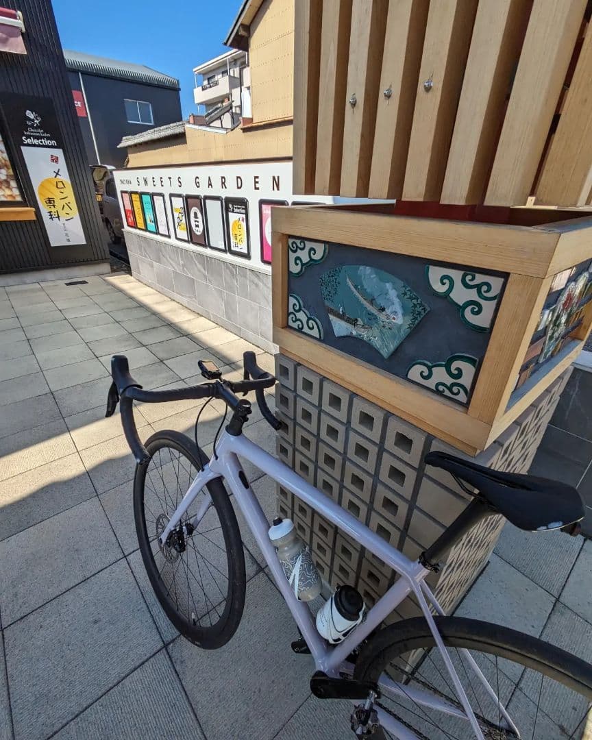 Aethos Comp × Roval Terra CL size 54