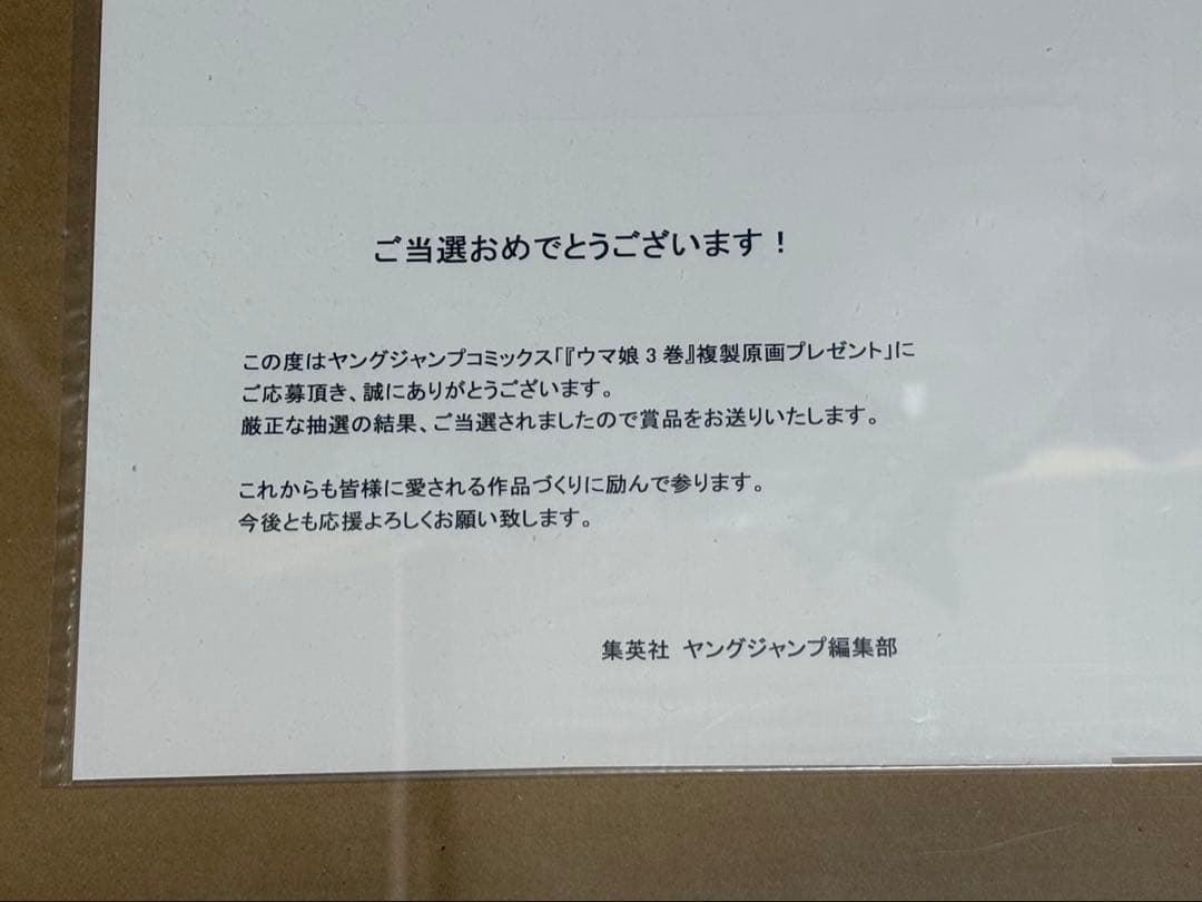 【30部限定】 ウマ娘シンデレラグレイ オグリキャップ 複製原画
