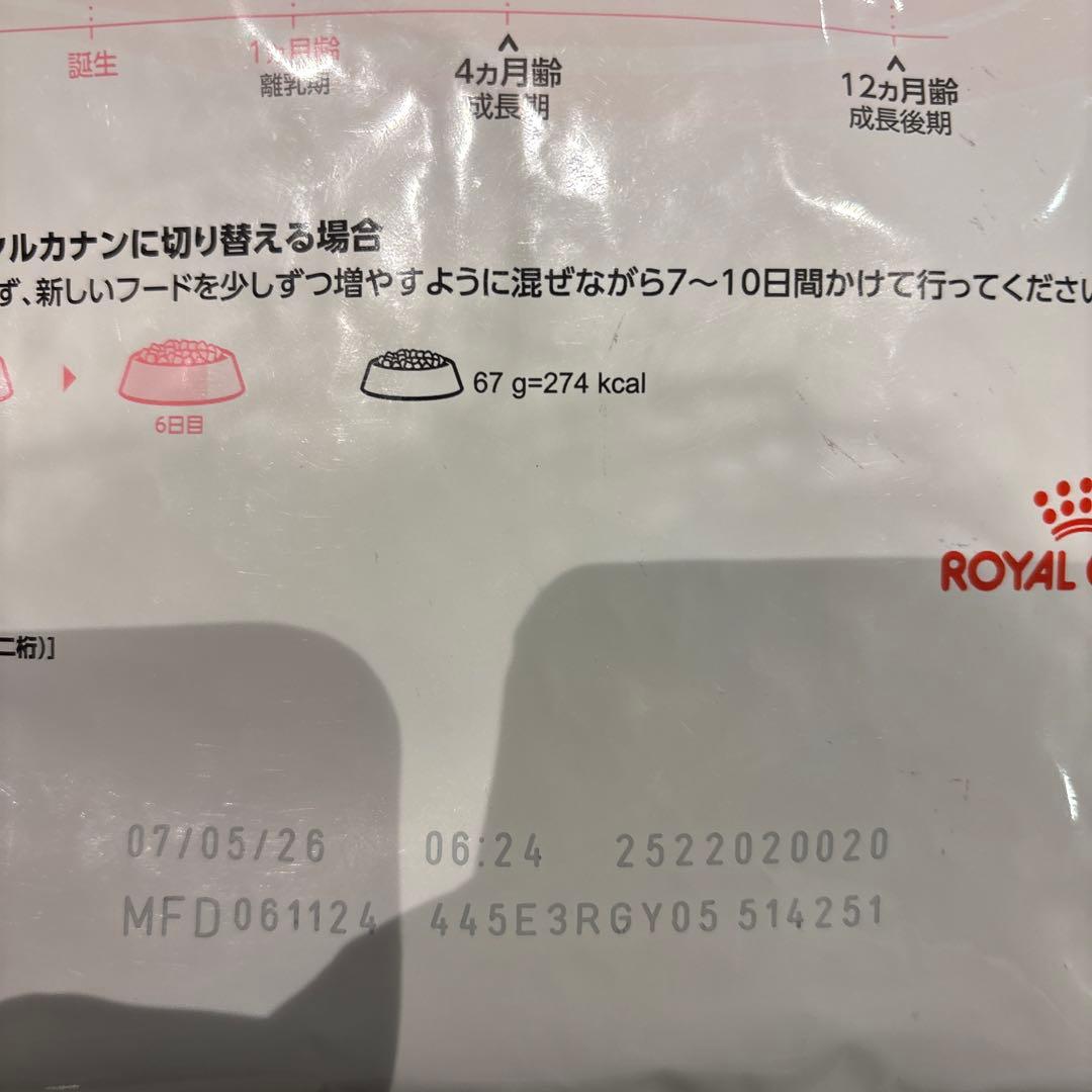  CANIN 子猫用ドライフード 2kg × 2個セット