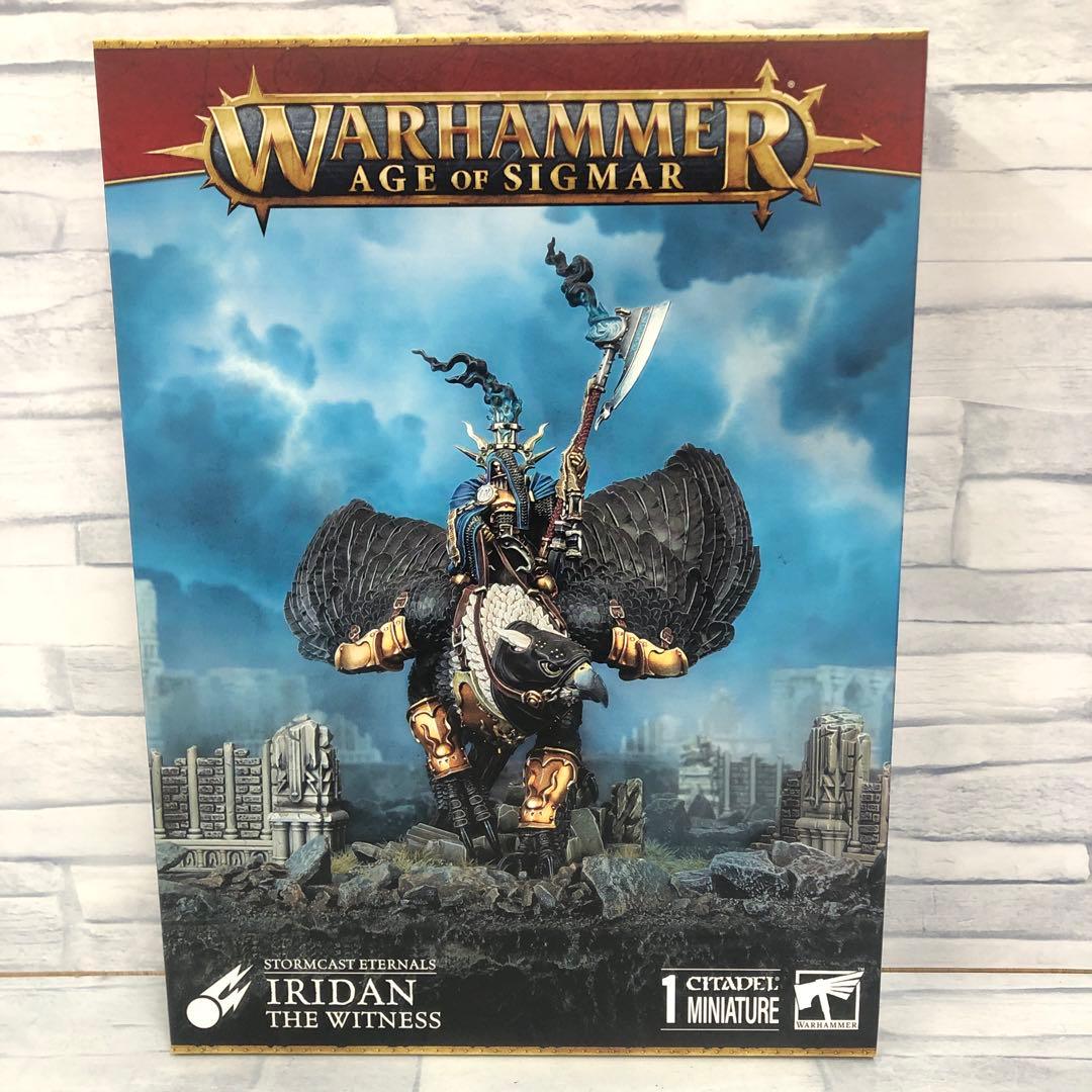 o563 見届ける者　イリダン