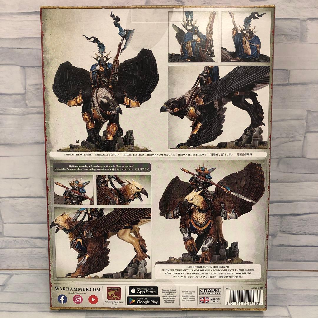 o563 見届ける者　イリダン