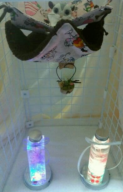 モモンガハウス(猫・カフェ)ボア茶  1800円