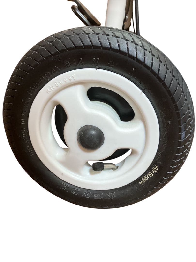 美品　Mサイズ　ペット用エアバギー・ドーム2/Airbuggy Dome2 M