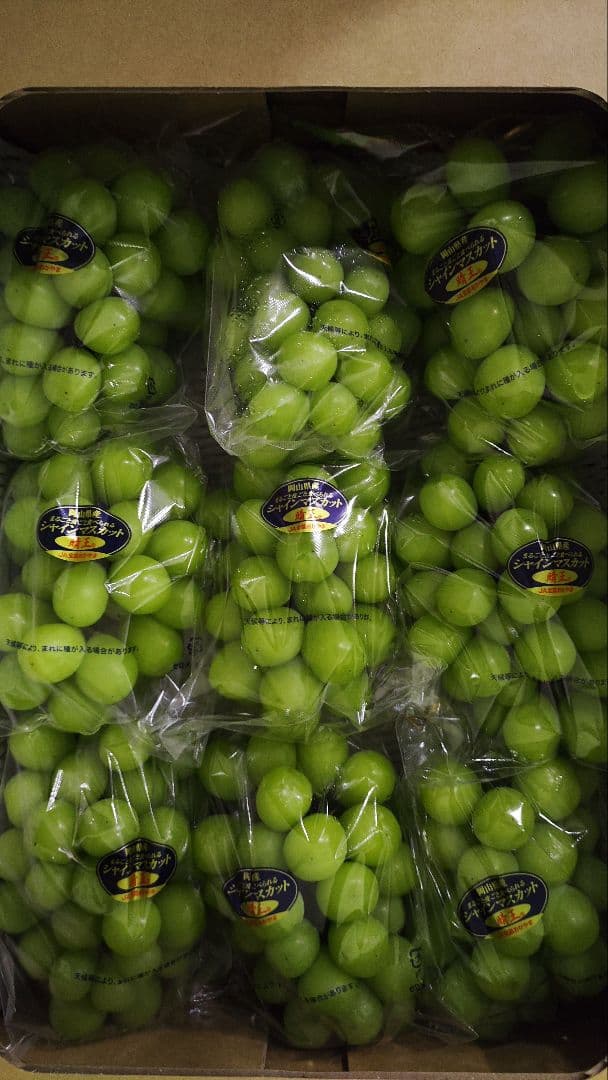 ゆ*は様 シャインマスカット　晴王　5キロ　8入　岡山県産