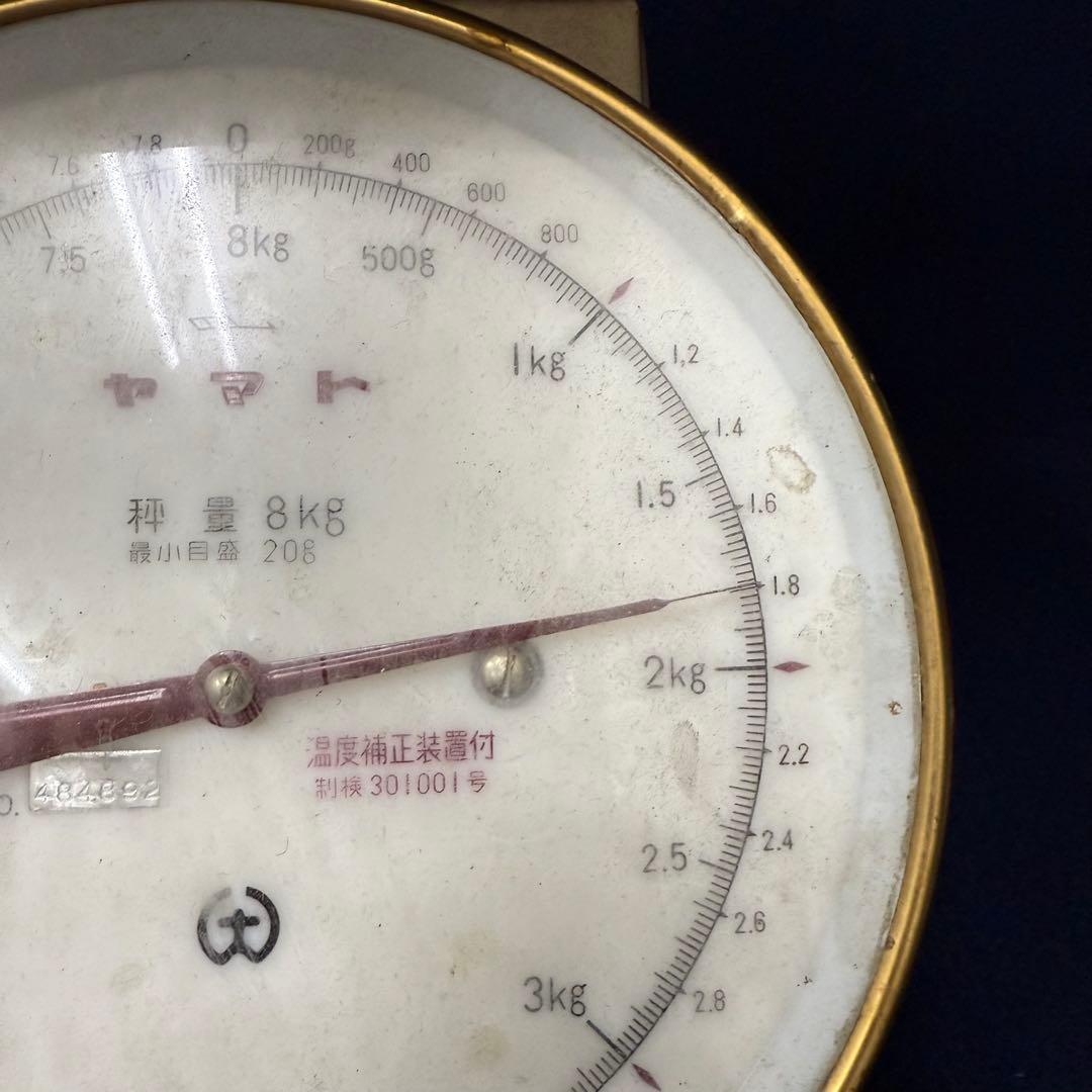 特大 ホラ貝 法螺貝 螺貝 ラッパ 雅楽 和楽器 古玩 旧家 蔵出 骨董品