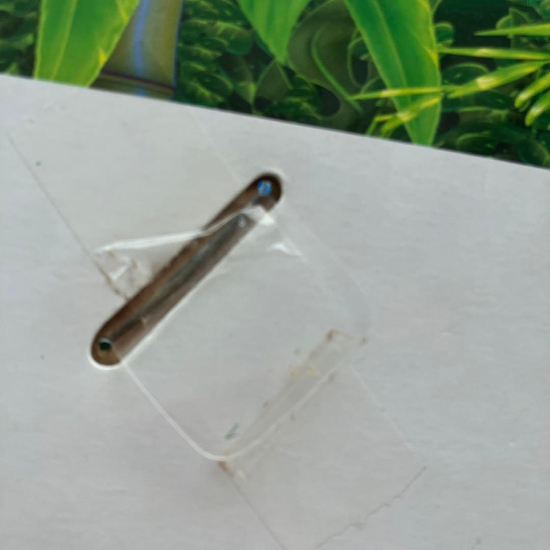 夢おうむ　ぬいぐるみ　いんこ　セガトイズ　鳥　野鳥　南国　本体のみ　リモコンなし