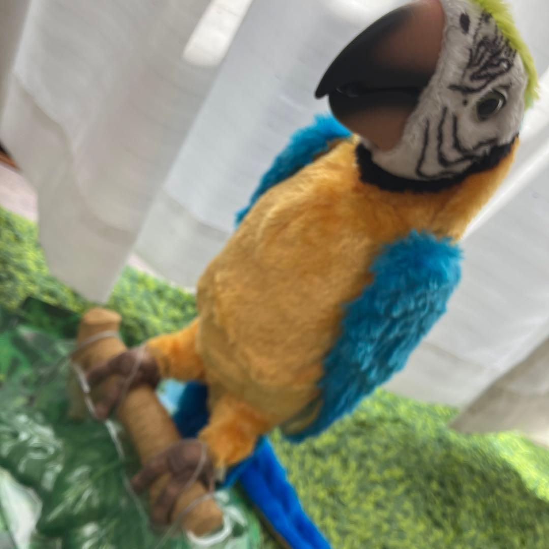 夢おうむ　ぬいぐるみ　いんこ　セガトイズ　鳥　野鳥　南国　本体のみ　リモコンなし