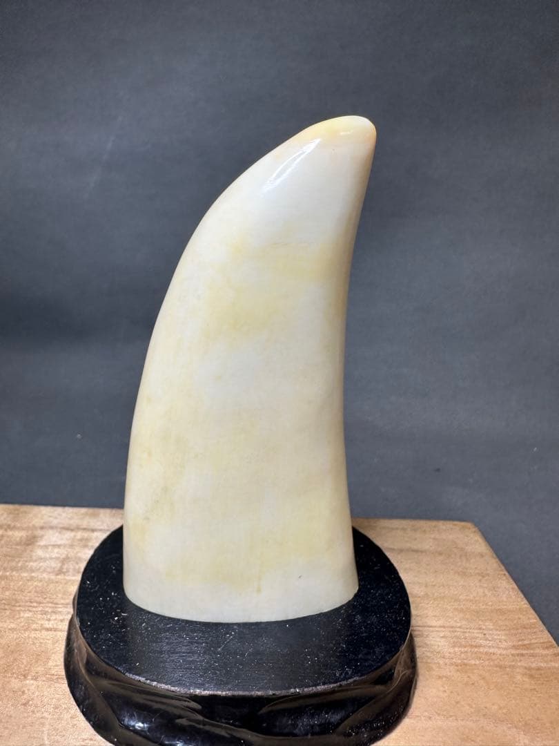 鯨歯　マッコウクジラ　天然素材　アンティーク　骨董　飾り物　古美術品　 置物