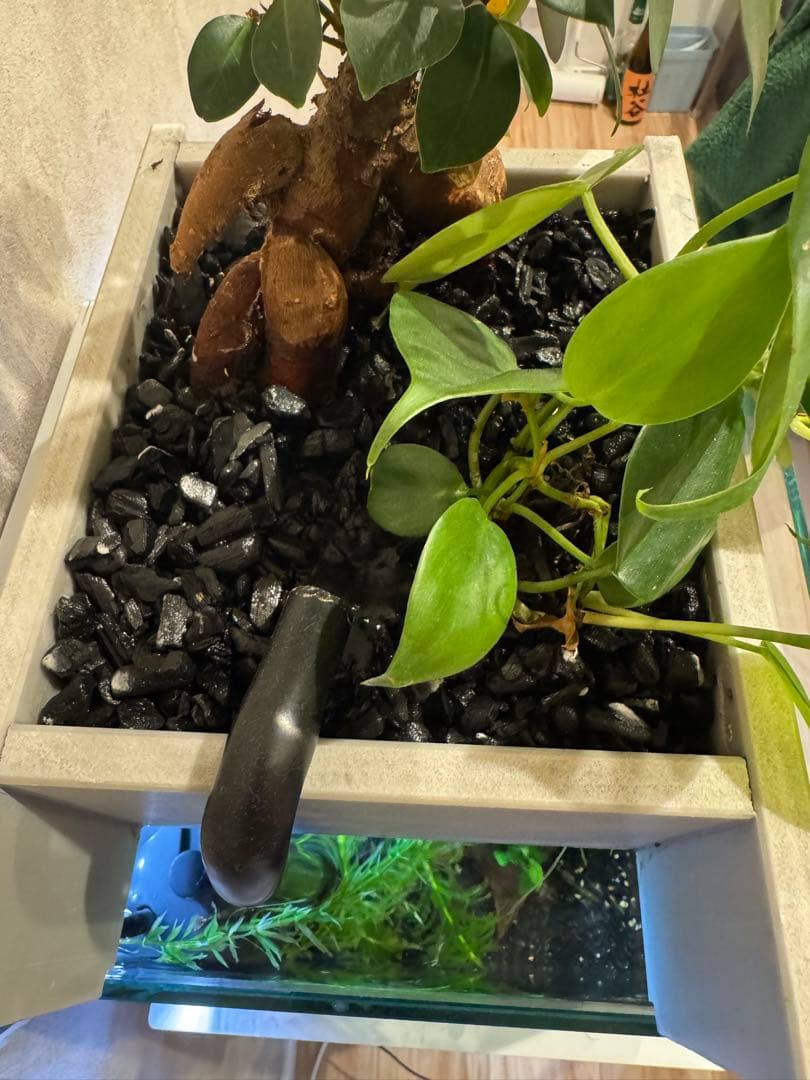 西条庭園　せせらぎビオトープ25cm型 照明付き