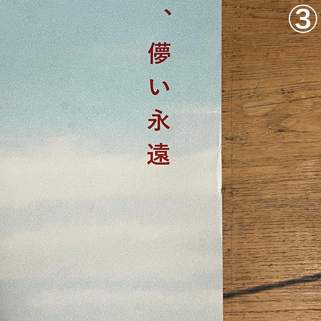 未使用 映画 B2ポスター　ザ・バイクライダーズ Harley-Davidson