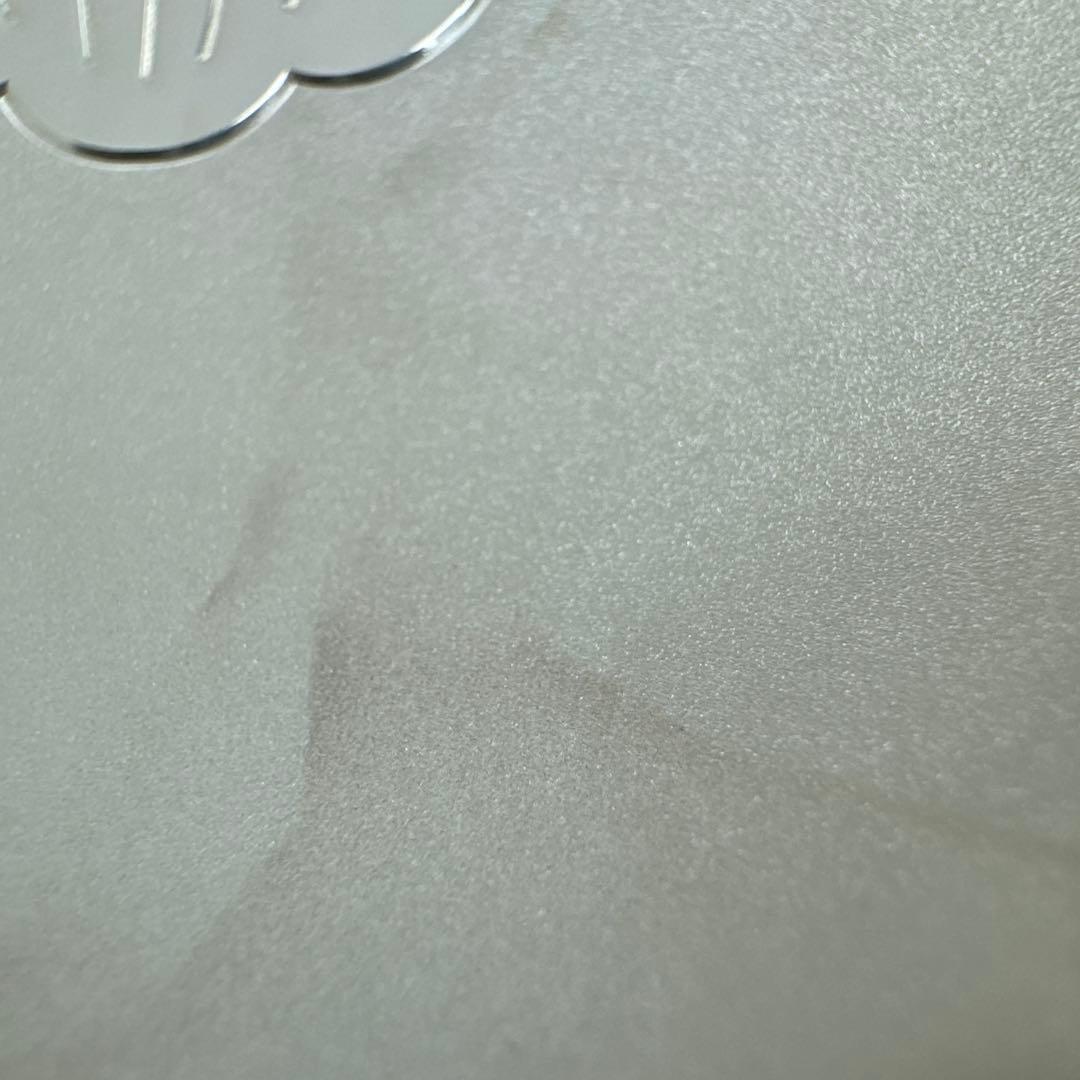 造幣局製　SV1000 銀杯