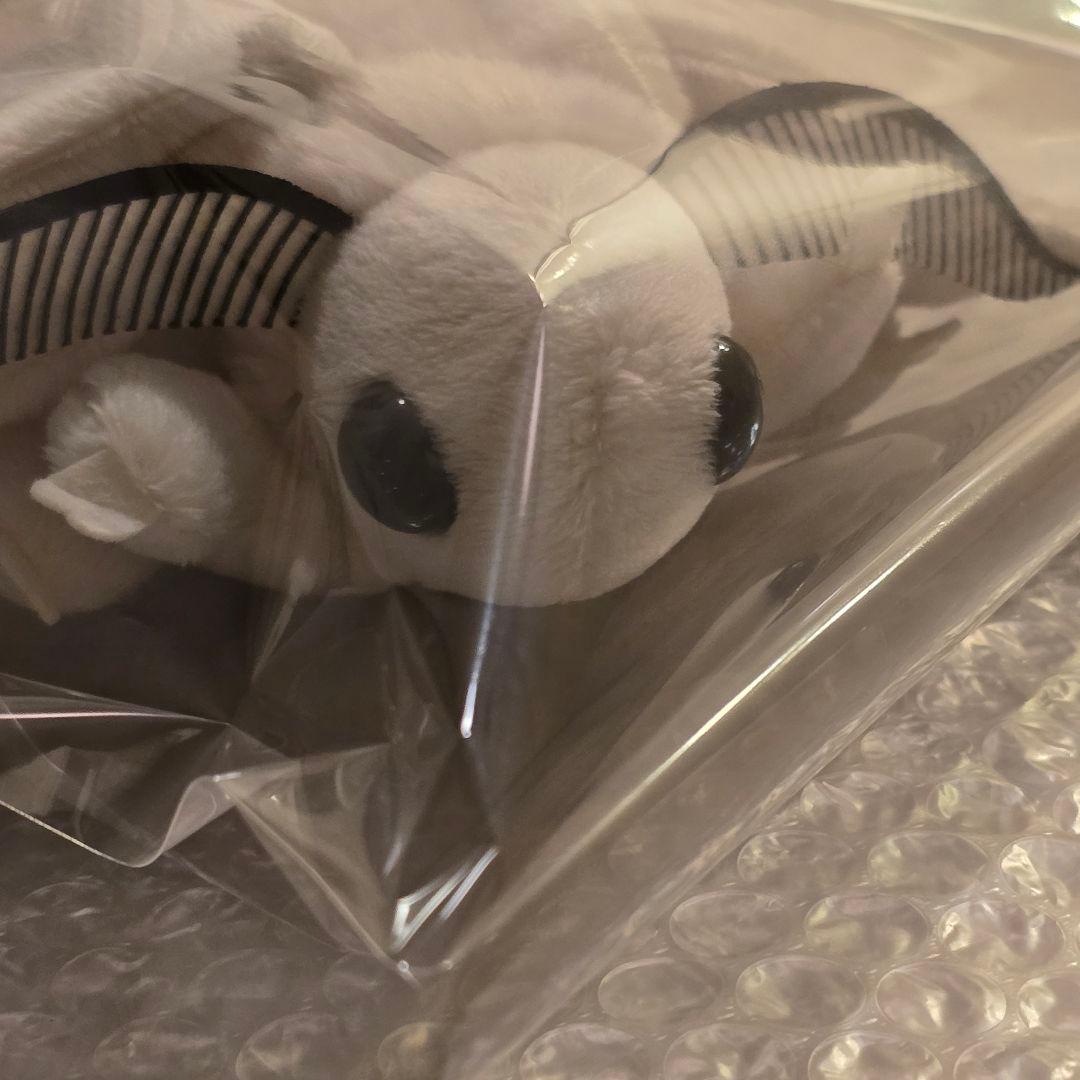 ハ*ル様 昆虫MANIAC　カイコガ　カイコ　蚕蛾　モス　ぬいぐるみ　昆虫マニア