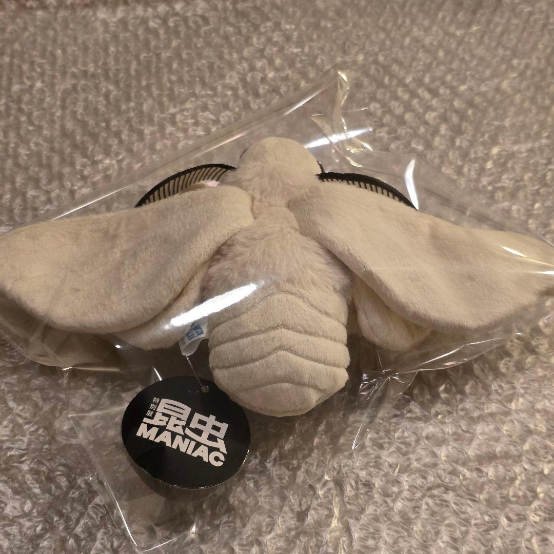 ハ*ル様 昆虫MANIAC　カイコガ　カイコ　蚕蛾　モス　ぬいぐるみ　昆虫マニア