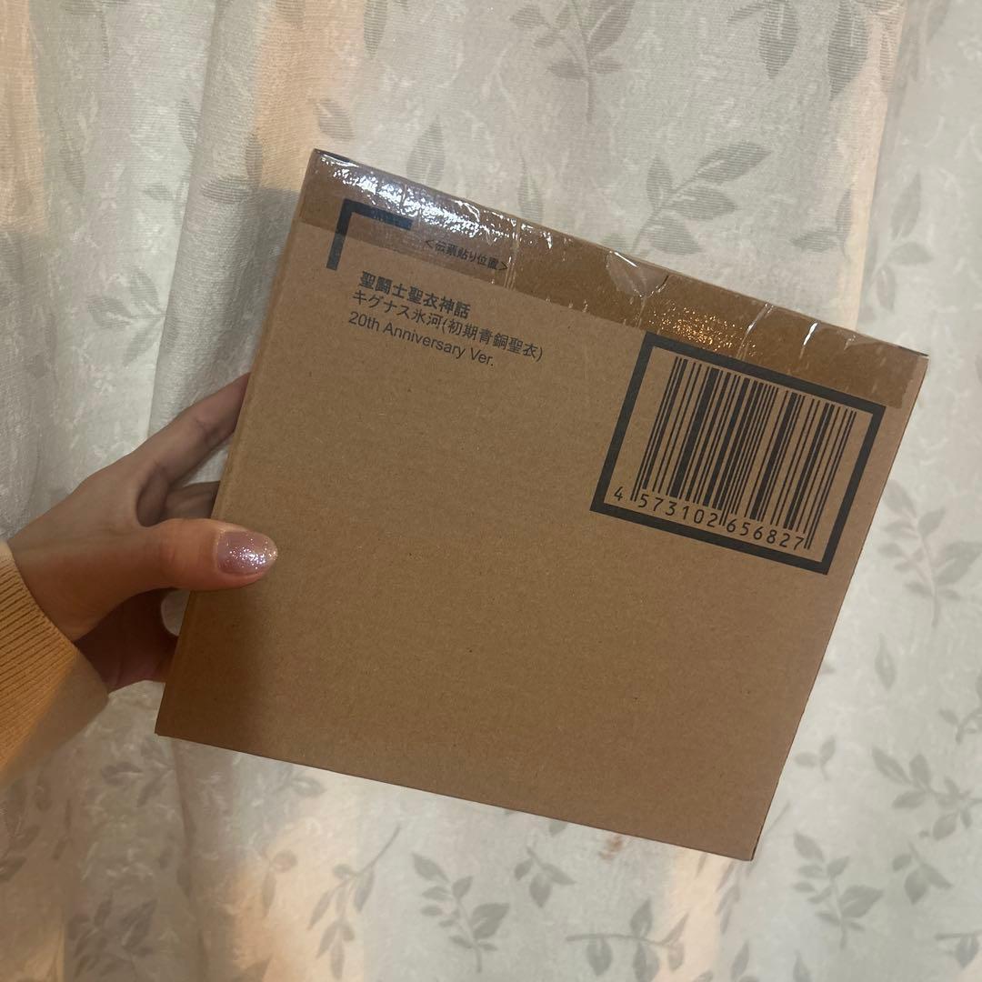 聖闘士聖衣神話 キグナス氷河 初期青銅聖衣 20th Anniversary