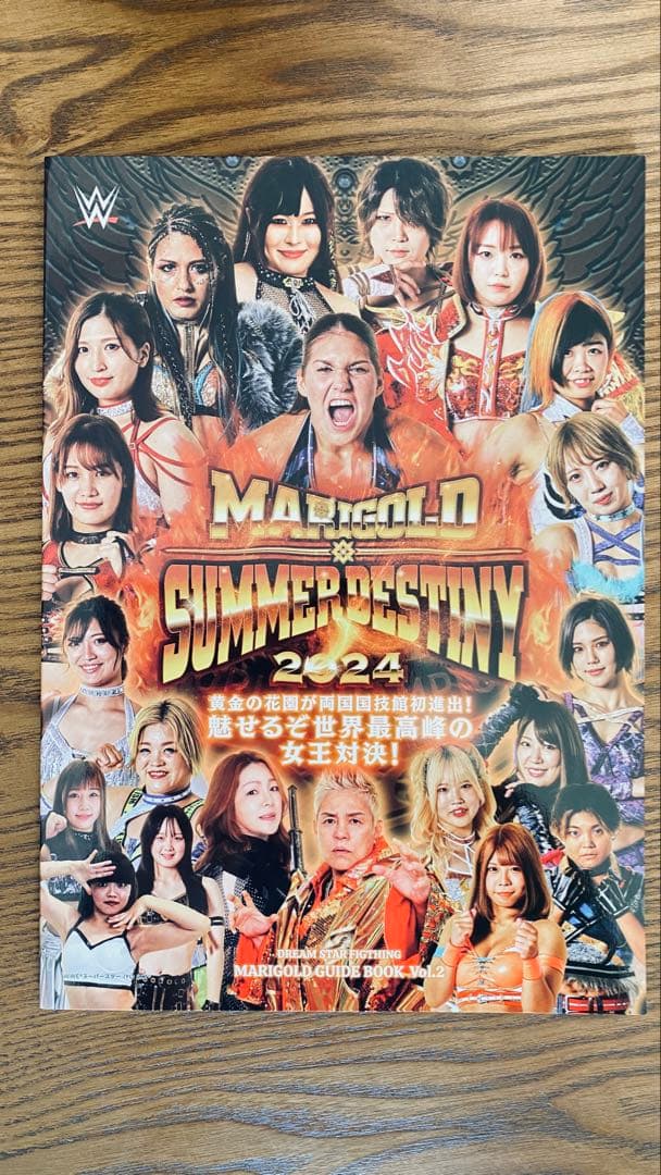 マリーゴールドはここから始まった！　旗揚げガイドブック　Vol.1、2 セット