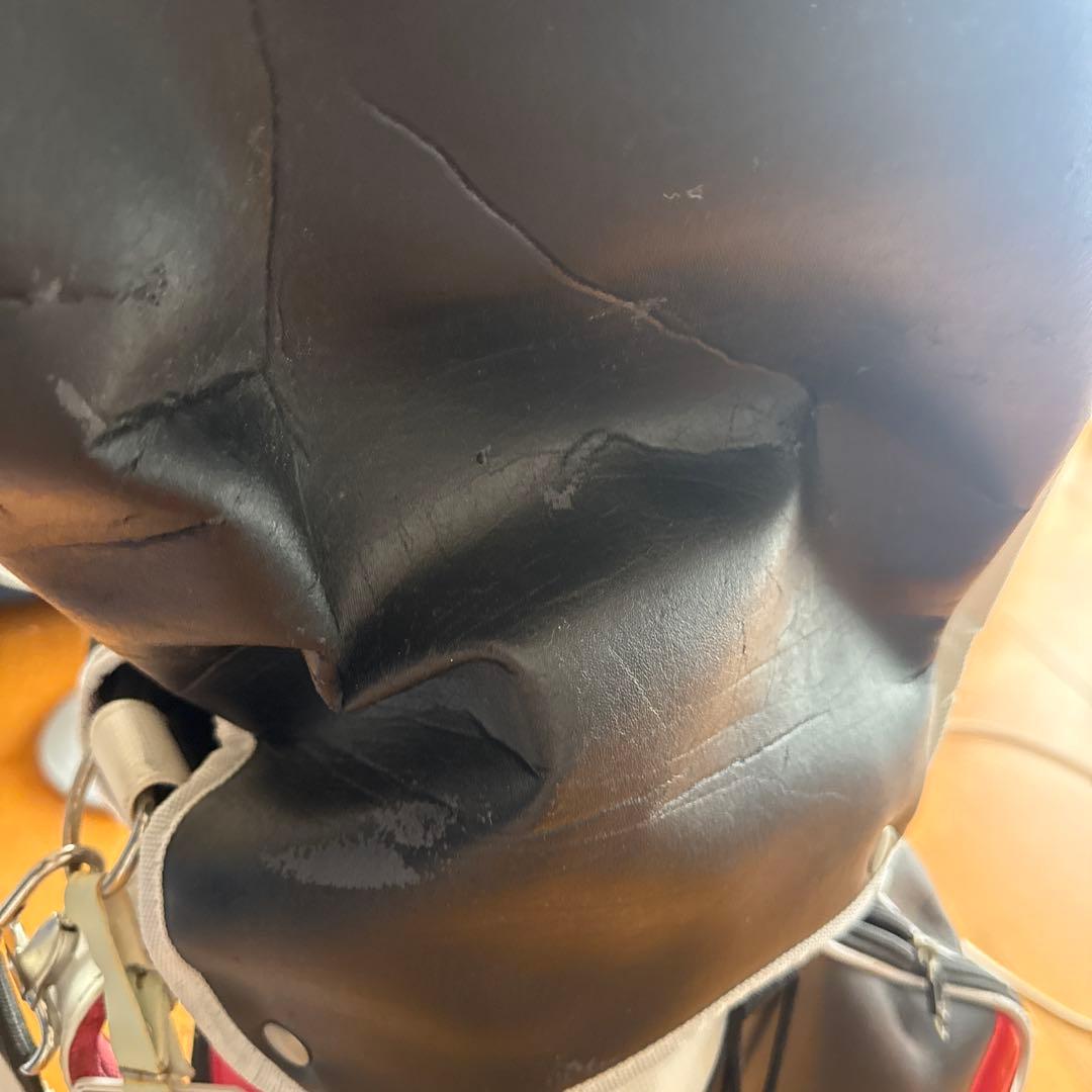 Callaway キャディバッグ 黒/白/赤