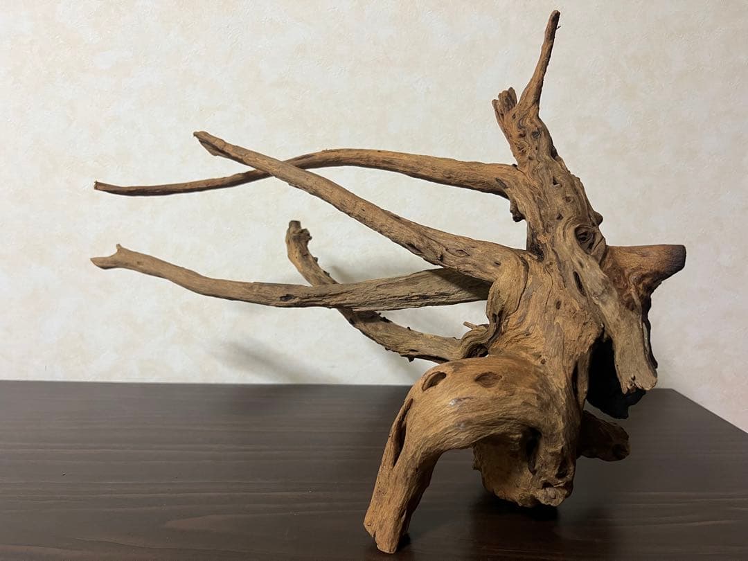 175 流木　ホーンウッド　マシンガンウッド　アクアリウム　ブランチウッド