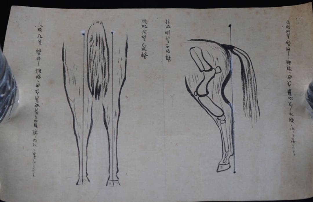 時代 馬学 巻物 まくり 4枚 和本 墨書 馬医書 馬療図 古文書 資料 戦前