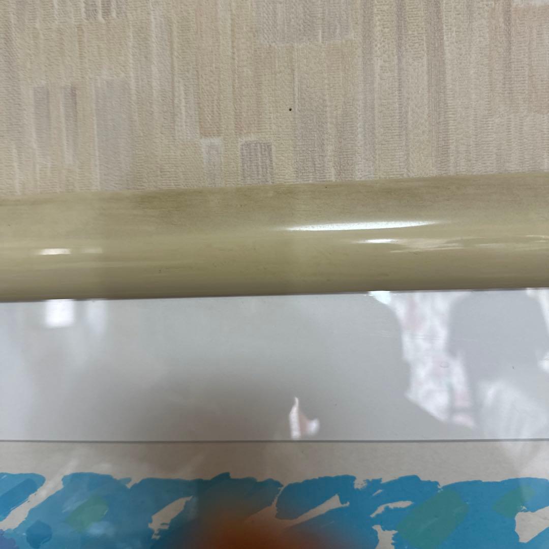 ジョン・ボッツ　マリアナアンティーブ