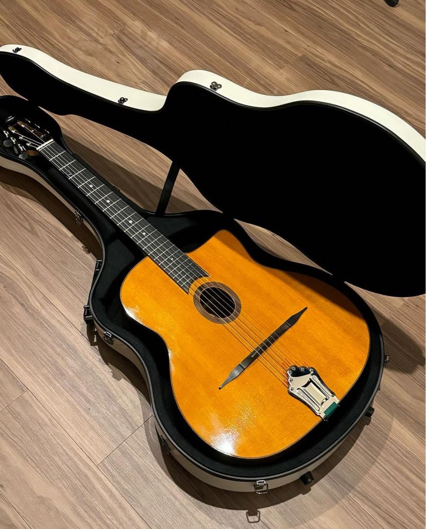 stringphonic advanced FV limited マカフェリ