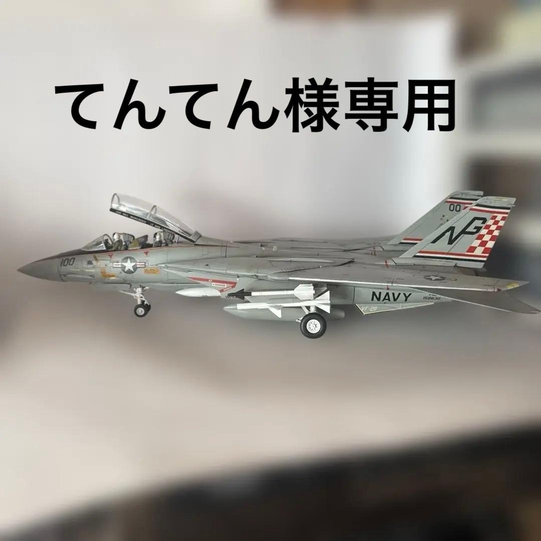 1/32 F-14 トムキャット 完成品