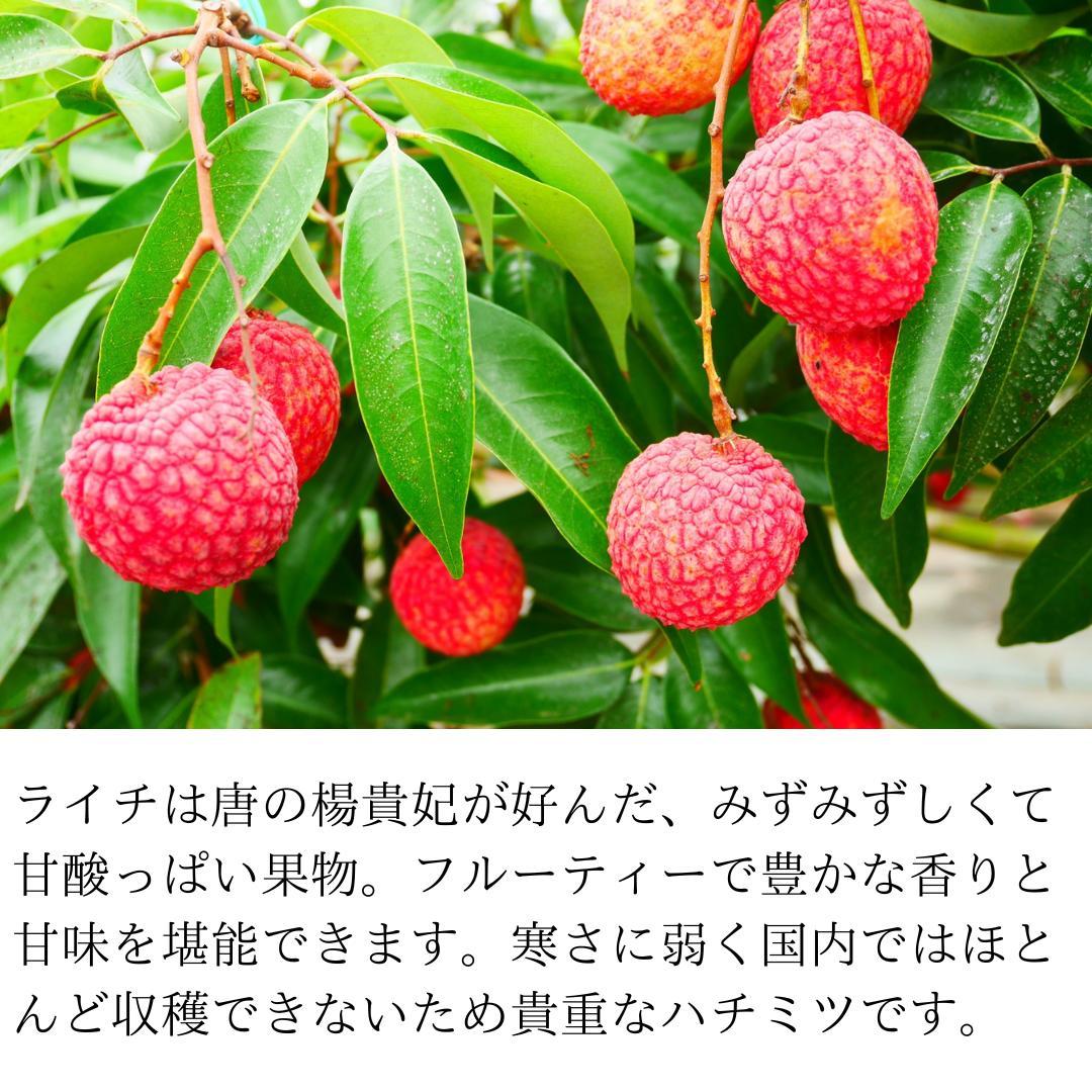 【希少】タイチェンマイ産　ライチ & ロンガンハニー 800g　各2パック